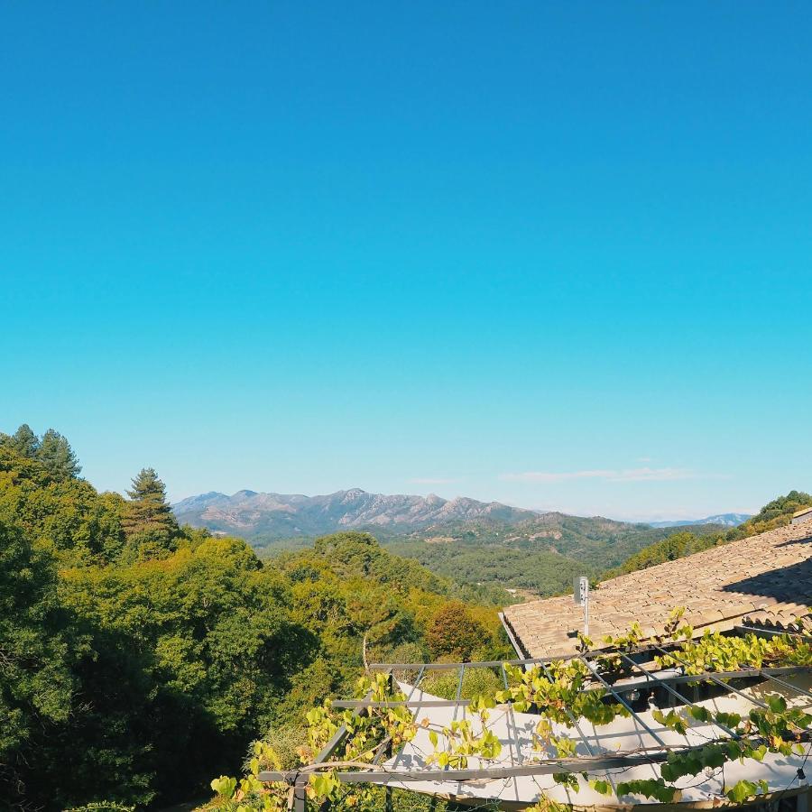 Bed and breakfast L'evidence Prades (Ardeche)