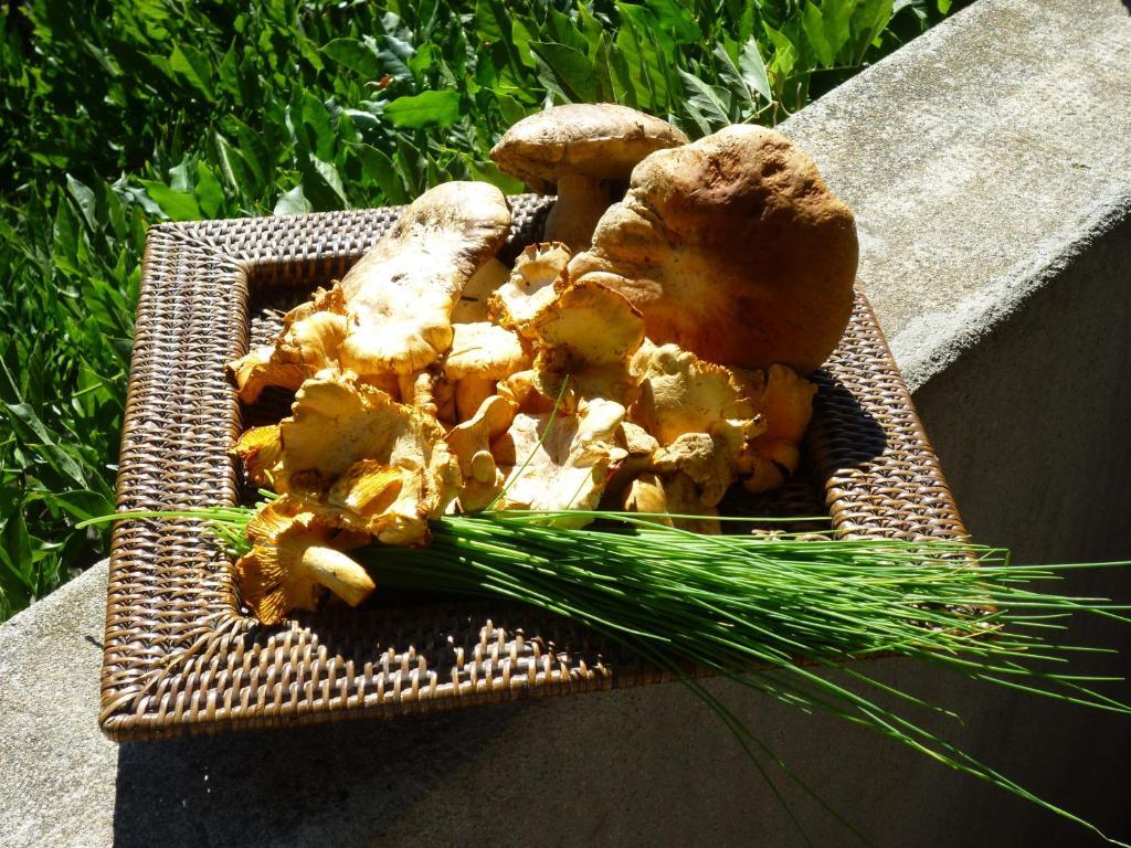 L'evidence Bed and breakfast Prades (Ardeche)