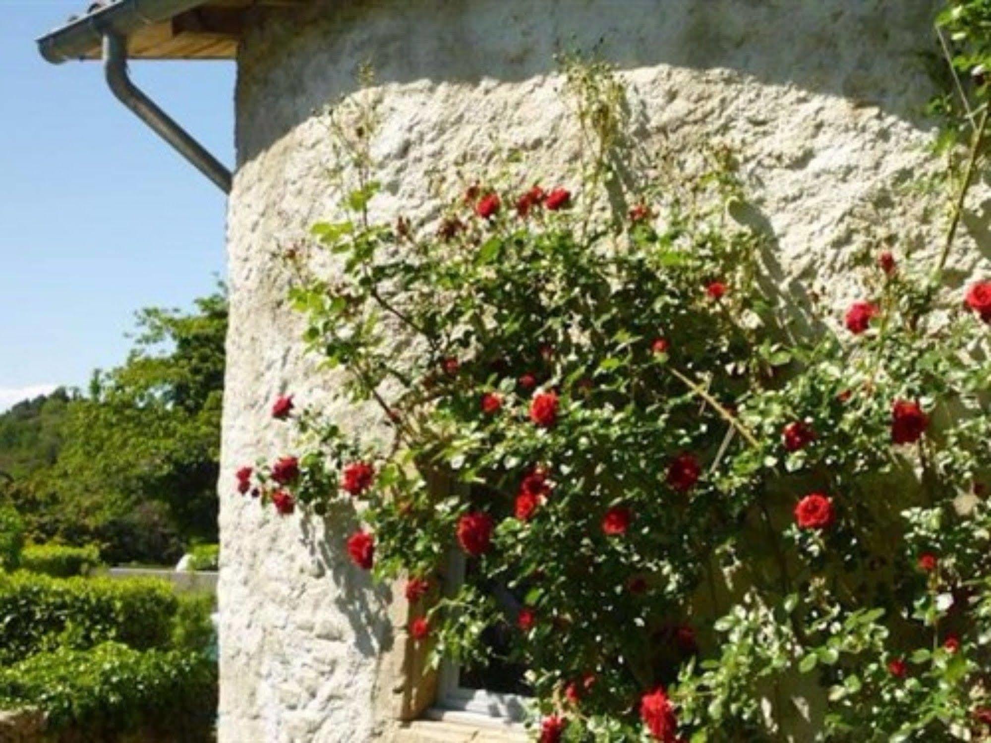 L'evidence Bed and breakfast Prades (Ardeche)